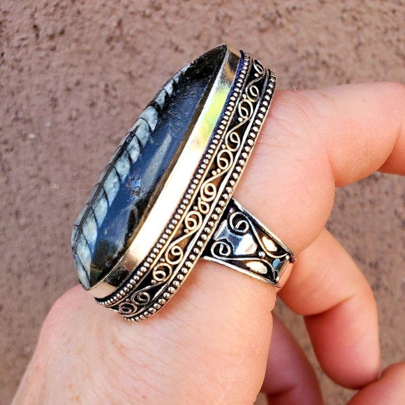 New Huge Orthoceras Fossil 925 Silver Ring. - Picture 13 of 16
